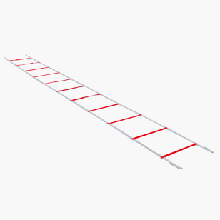 Powermax clearance agility ladder